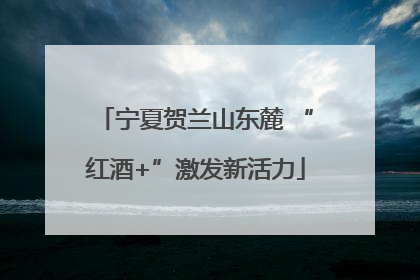 宁夏贺兰山东麓 “红酒+”激发新活力