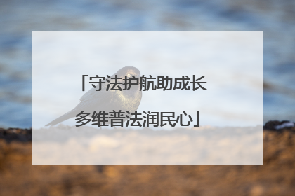 守法护航助成长 多维普法润民心