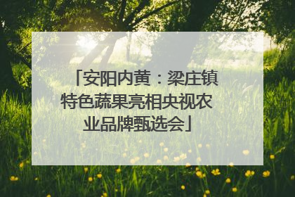 安阳内黄：梁庄镇特色蔬果亮相央视农业品牌甄选会