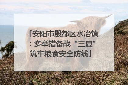 安阳市殷都区水冶镇：多举措备战“三夏” 筑牢粮食安全防线