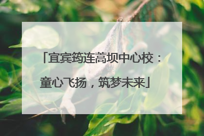 宜宾筠连蒿坝中心校：童心飞扬，筑梦未来