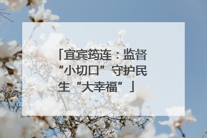 宜宾筠连：监督“小切口”守护民生“大幸福”
