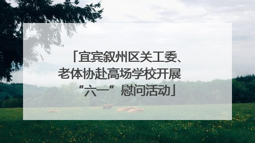 宜宾叙州区关工委、老体协赴高场学校开展“六一”慰问活动