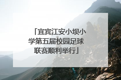 宜宾江安小坝小学第五届校园足球联赛顺利举行