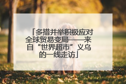 多措并举积极应对全球贸易变局——来自“世界超市”义乌的一线走访