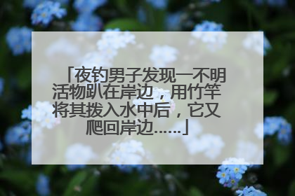 夜钓男子发现一不明活物趴在岸边，用竹竿将其拨入水中后，它又爬回岸边……