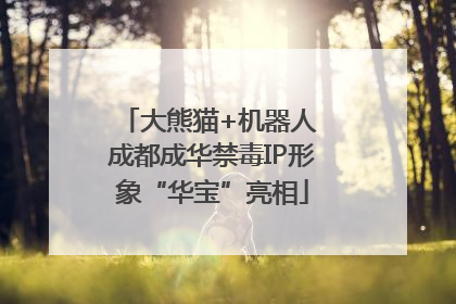 大熊猫+机器人 成都成华禁毒IP形象“华宝”亮相