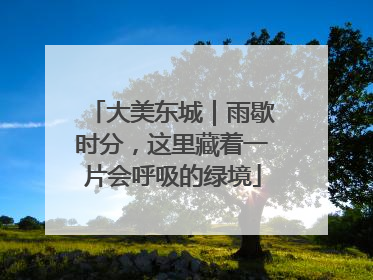 大美东城｜雨歇时分，这里藏着一片会呼吸的绿境