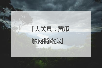 大关县：黄瓜触网销路宽