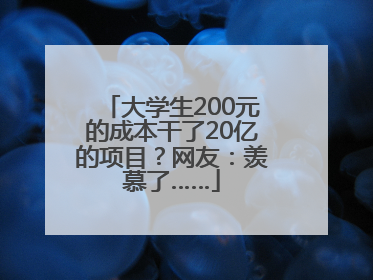 大学生200元的成本干了20亿的项目？网友：羡慕了……