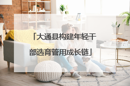 大通县构建年轻干部选育管用成长链