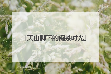 天山脚下的闽茶时光