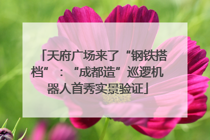 天府广场来了“钢铁搭档”：“成都造”巡逻机器人首秀实景验证