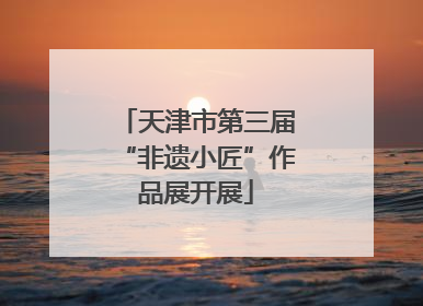 天津市第三届“非遗小匠”作品展开展