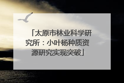 太原市林业科学研究所：小叶杨种质资源研究实现突破