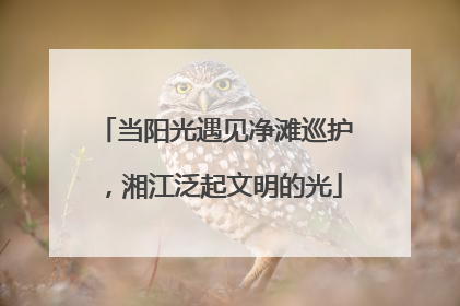 当阳光遇见净滩巡护，湘江泛起文明的光