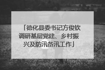 德化县委书记方俊钦调研基层党建、乡村振兴及防汛备汛工作