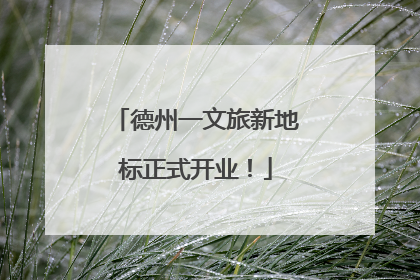 德州一文旅新地标正式开业！