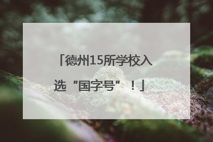 德州15所学校入选“国字号”！