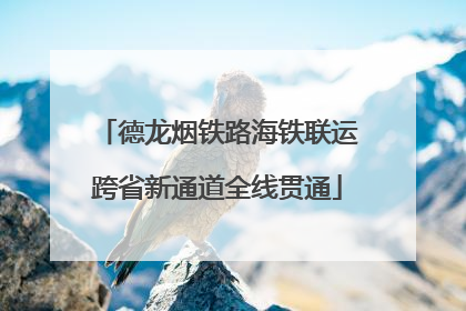 德龙烟铁路海铁联运跨省新通道全线贯通