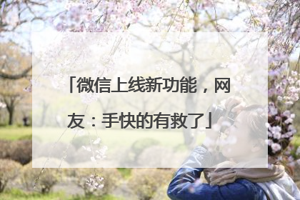 微信上线新功能，网友：手快的有救了