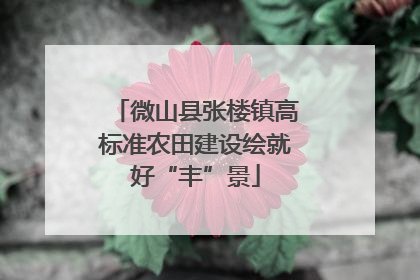 微山县张楼镇高标准农田建设绘就好“丰”景