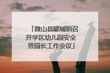 微山县驩城镇召开学区幼儿园安全暨园长工作会议
