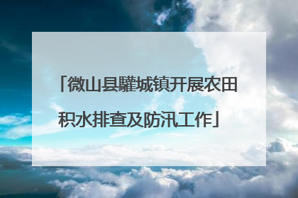 微山县驩城镇开展农田积水排查及防汛工作
