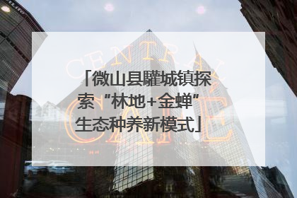 微山县驩城镇探索“林地+金蝉”生态种养新模式