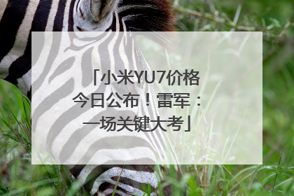 小米YU7价格今日公布！雷军：一场关键大考