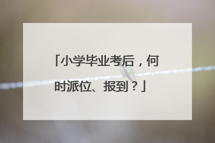 小学毕业考后，何时派位、报到？