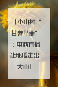 小山村“甘薯革命”：电商直播让地瓜走出大山