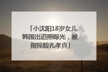小沈阳18岁女儿韩国出道照曝光，被指撞脸孔孝真