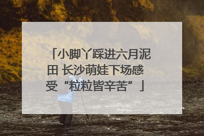 小脚丫踩进六月泥田 长沙萌娃下场感受“粒粒皆辛苦”