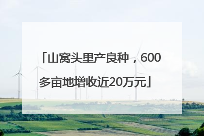 山窝头里产良种，600多亩地增收近20万元