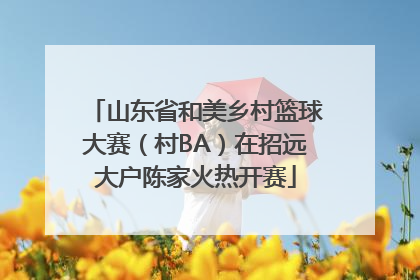 山东省和美乡村篮球大赛（村BA）在招远大户陈家火热开赛
