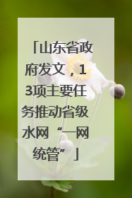 山东省政府发文，13项主要任务推动省级水网“一网统管”