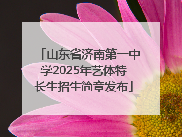 山东省济南第一中学2025年艺体特长生招生简章发布