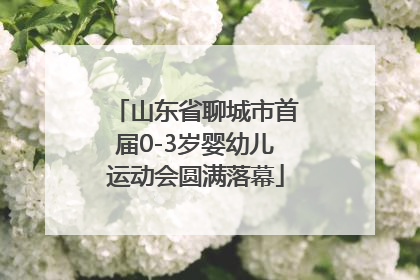 山东省聊城市首届0-3岁婴幼儿运动会圆满落幕