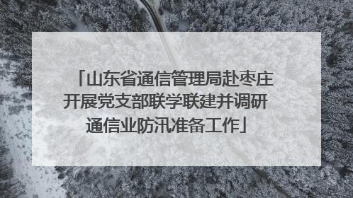 山东省通信管理局赴枣庄开展党支部联学联建并调研通信业防汛准备工作
