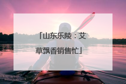 山东乐陵：艾草飘香销售忙