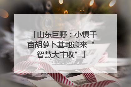 山东巨野：小镇千亩胡萝卜基地迎来“智慧大丰收”