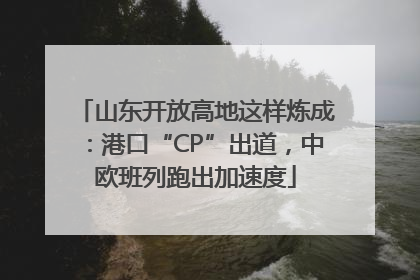 山东开放高地这样炼成：港口“CP”出道，中欧班列跑出加速度