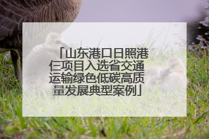 山东港口日照港仨项目入选省交通运输绿色低碳高质量发展典型案例