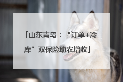 山东青岛：“订单+冷库”双保险助农增收