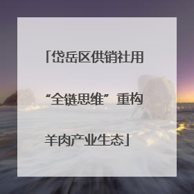 岱岳区供销社用“全链思维”重构羊肉产业生态