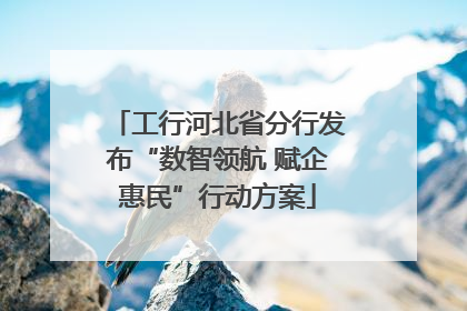 工行河北省分行发布“数智领航 赋企惠民”行动方案