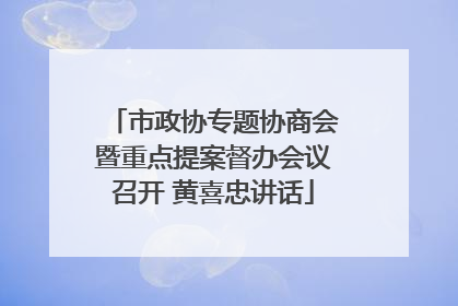 市政协专题协商会暨重点提案督办会议召开 黄喜忠讲话