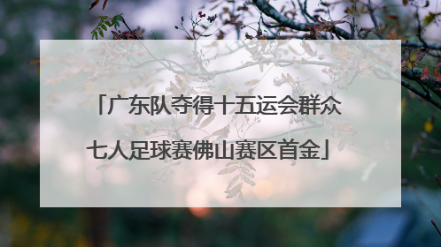 广东队夺得十五运会群众七人足球赛佛山赛区首金
