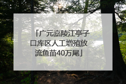 广元嘉陵江亭子口库区人工增殖放流鱼苗40万尾